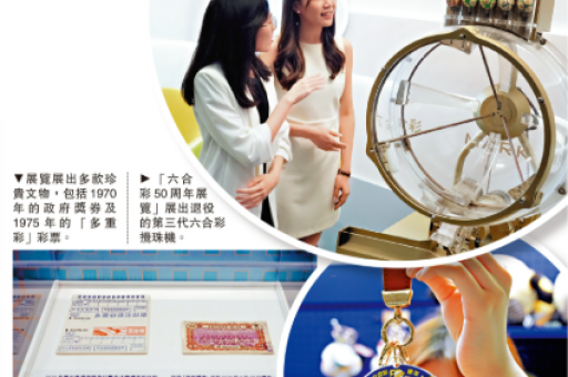 澳门六合第264期